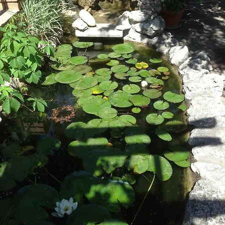 Complex Astra Отель Солнечный берег