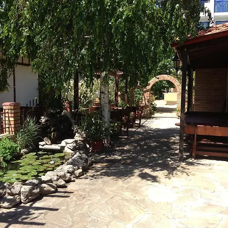 Отель Complex Astra Солнечный берег