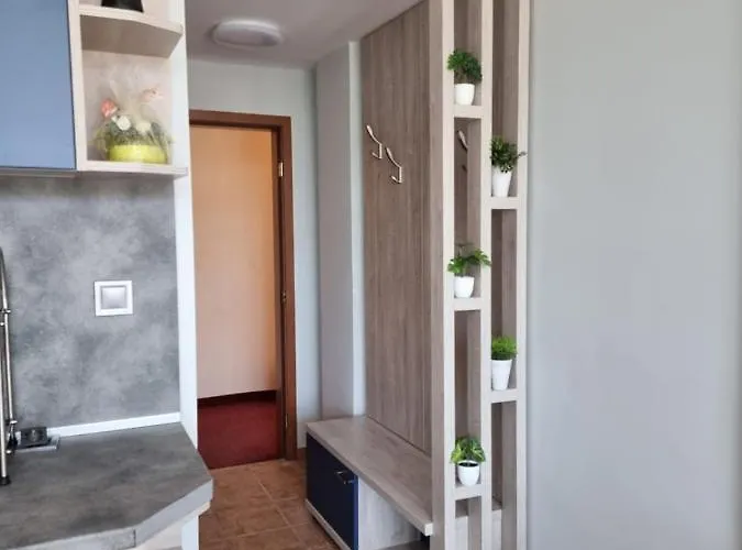 酒店 阿斯特拉酒店