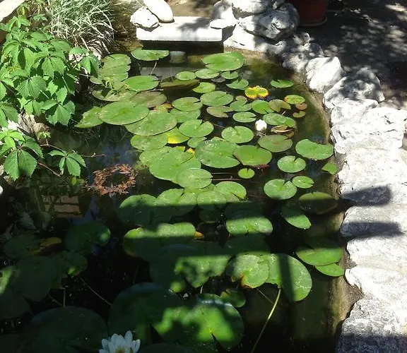 阿斯特拉酒店 酒店 阳光海滩